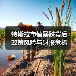 特斯拉市值暴跌！马斯克财富缩水340亿背后真相曝光