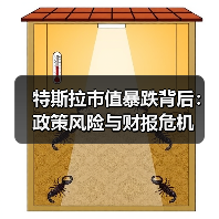 特斯拉市值暴跌背后：政策风险与财报危机（图3）