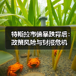 特斯拉市值暴跌背后：政策风险与财报危机（图4）