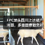 四川上达电子破产清算：16起案件背后的行业危机