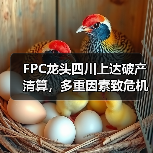 FPC龙头四川上达破产清算，多重因素致危机（图2）