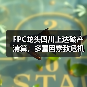 FPC龙头四川上达破产清算，多重因素致危机（图4）
