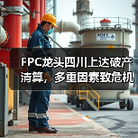 FPC龙头四川上达破产清算，多重因素致危机（图3）