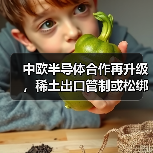 中欧半导体合作再升级，稀土出口管制或松绑（图3）