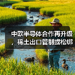 中欧半导体合作再升级，稀土出口管制或松绑（图4）