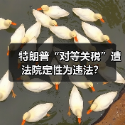 特朗普“对等关税”遭法院定性为违法？（图1）