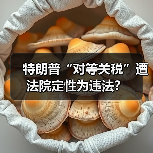 特朗普“对等关税”遭法院定性为违法？（图3）