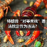 特朗普“对等关税”遭法院定性为违法？（图4）