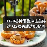 H20芯片限售冲击英伟达 Q2损失或达80亿美元(图3) H20芯片限售冲击英伟达 Q2损失或达80亿美元(图3)