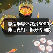 意法半导体裁员5000人背后真相:拆分传闻能否成真?(图4) 意法半导体裁员5000人背后真相:拆分传闻能否成真?(图4)