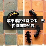 苹果印度维修业务移交塔塔集团 深化本地化布局