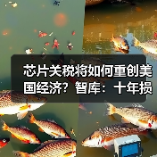 25%芯片关税将如何伤害美国经济？