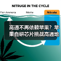 高通不再依赖苹果？苹果自研芯片挑战高通地位（图1）