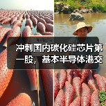 冲刺国内碳化硅芯片第一股，基本半导体港交所上市能否成功？（图2）