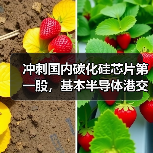 冲刺国内碳化硅芯片第一股，基本半导体港交所上市能否成功？（图1）