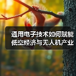 通用电子技术如何赋能低空经济与无人机产业创新?(图2) 通用电子技术如何赋能低空经济与无人机产业创新?(图2)