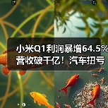 小米Q1利润暴增64.5%营收破千亿！汽车扭亏在即？（图2）