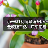 小米Q1利润暴增64.5%营收破千亿！汽车扭亏在即？（图4）