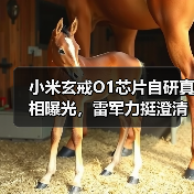 小米玄戒O1芯片自研真相曝光,雷军力挺澄清Arm定制争议(图2) 小米玄戒O1芯片自研真相曝光,雷军力挺澄清Arm定制争议(图2)