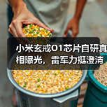 小米玄戒O1芯片自研真相曝光,雷军力挺澄清Arm定制争议(图4) 小米玄戒O1芯片自研真相曝光,雷军力挺澄清Arm定制争议(图4)