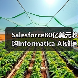 Salesforce80亿美元收购Informatica AI数据管理布局升级（图1）