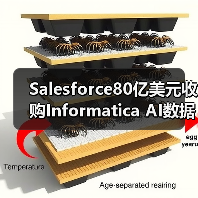 Salesforce80亿美元收购Informatica AI数据管理布局升级（图3）