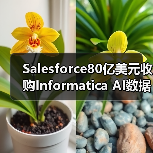 Salesforce80亿美元收购Informatica AI数据管理布局升级（图4）
