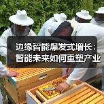 边缘智能爆发式增长:智能未来如何重塑产业格局?(图4) 边缘智能爆发式增长:智能未来如何重塑产业格局?(图4)
