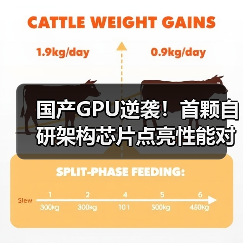 国产GPU逆袭！首颗自研架构芯片点亮性能对标国际（图2）