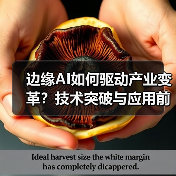 边缘AI如何驱动产业变革？技术突破与应用前景全解析（图4）