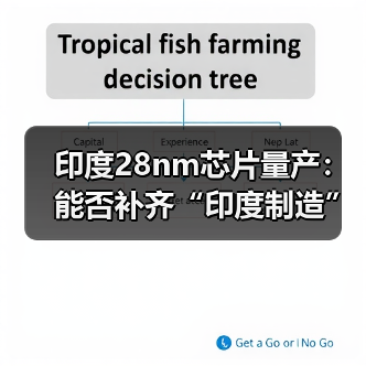 印度28nm芯片量产：能否补齐“印度制造”版图？（图4）