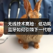 蓝牙技术如何推动物联网发展与创新应用？