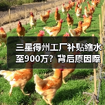 三星得州工厂补贴缩水至900万？背后原因曝光（图3）