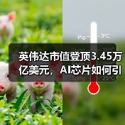 英伟达市值登顶3.45万亿美元，AI芯片如何引领未来？