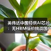 英伟达中国特供AI芯片：无HBM低价挑战国产市场？（图3）