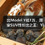 比Model Y低1万,顾家SUV性价比之王:YU7上市狂揽28.9万单(图4) 比Model Y低1万,顾家SUV性价比之王:YU7上市狂揽28.9万单(图4)