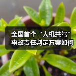 人机共驾事故责任难题如何破解？智能判责闭环管理新方案