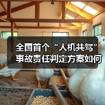 全国首个“人机共驾”事故责任判定方案如何破解行业难题？（图2）