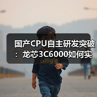 国产CPU自主研发突破：龙芯3C6000如何实现完全国产化供应链？（图3）