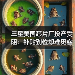 三星美国半导体工厂投产延迟？原因全解析