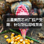 三星美国芯片厂投产受阻：补贴到位却难觅客户？（图3）