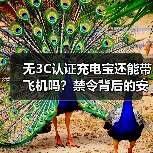 无3C认证充电宝还能带飞机吗?禁令背后的安全风波(图4) 无3C认证充电宝还能带飞机吗?禁令背后的安全风波(图4)