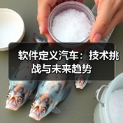 软件定义汽车：技术挑战与未来趋势