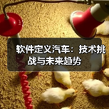 软件定义汽车:技术挑战与未来趋势(图3) 软件定义汽车:技术挑战与未来趋势(图3)