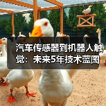 汽车传感器到机器人触觉:未来5年技术蓝图揭秘(图3) 汽车传感器到机器人触觉:未来5年技术蓝图揭秘(图3)