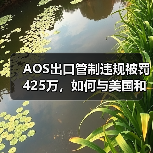 AOS出口管制违规被罚425万，如何与美国和解？
