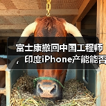 富士康撤回中国工程师,印度iPhone产能能否扛住?(图4) 富士康撤回中国工程师,印度iPhone产能能否扛住?(图4)