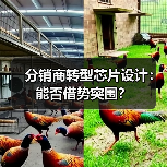 分销商转型芯片设计：能否借势突围？