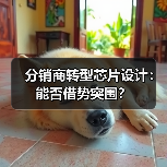 分销商转型芯片设计:能否借势突围?(图3) 分销商转型芯片设计:能否借势突围?(图3)