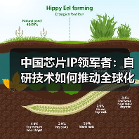 中国芯片IP领军者:自研技术如何推动全球化创新实践?(图3) 中国芯片IP领军者:自研技术如何推动全球化创新实践?(图3)